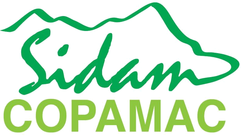 Logo SIDAM